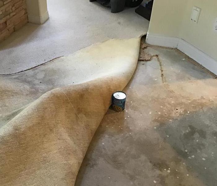 Carpet pulled back exposing the concrete floors beneath