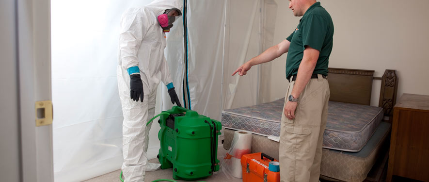 Costa Mesa, CA mold removal process